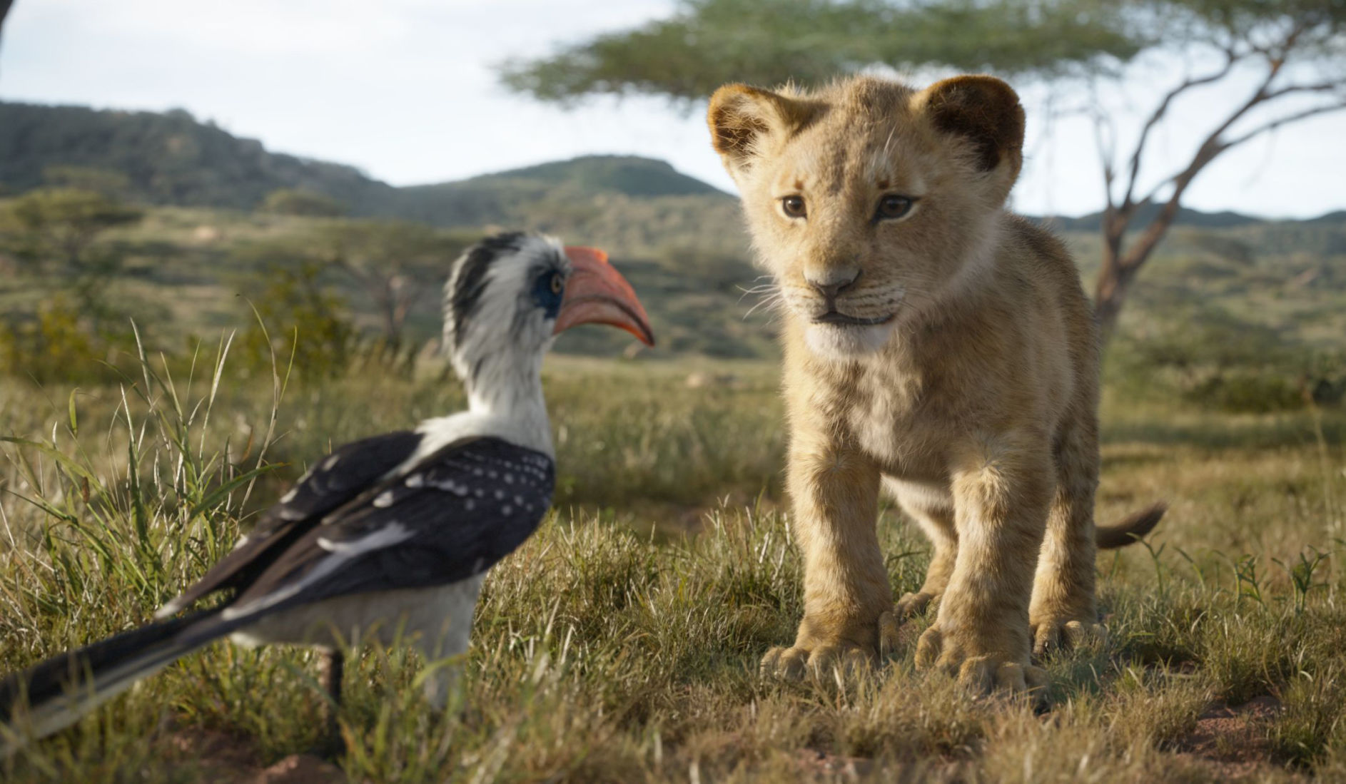 The 24 films everyone will be talking about this summer